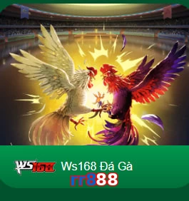 rr888